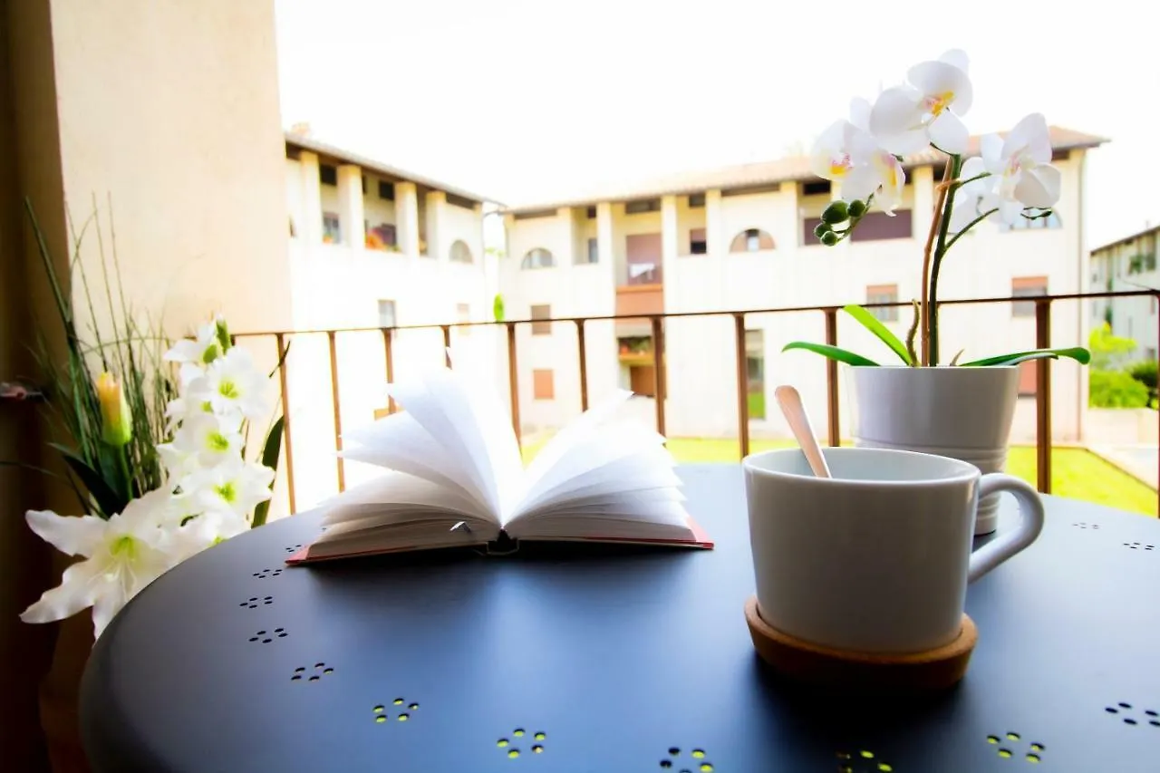 Pisa Books&Tower Apartment